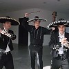 Mariachi Hochzeit